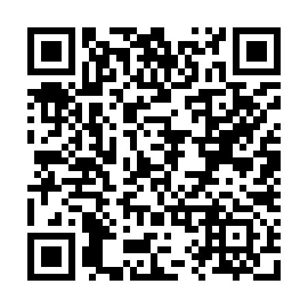 QR code for Z97993