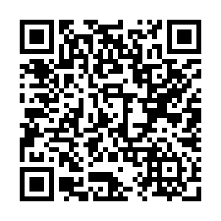 QR code for Z97994