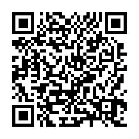 QR code for Z98222