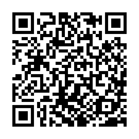 QR code for Z98289