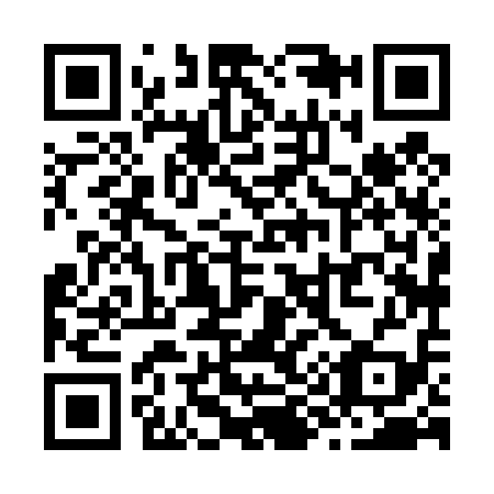 QR code for Z98419