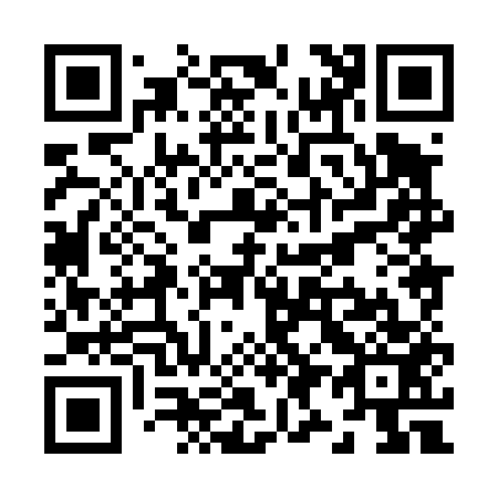 QR code for Z98453