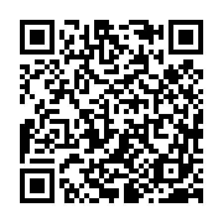QR code for Z98463