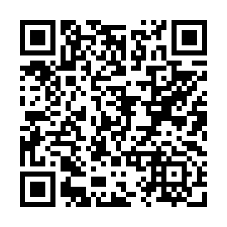 QR code for Z98693