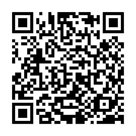 QR code for Z99028