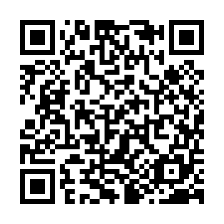 QR code for Z99055