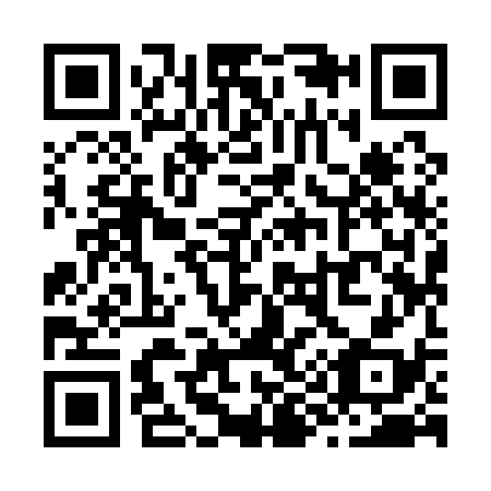 QR code for Z99138