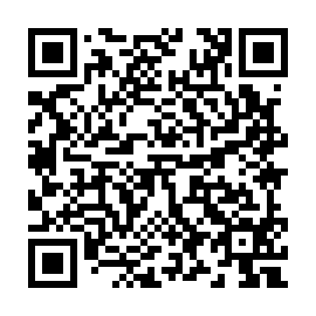 QR code for Z99194