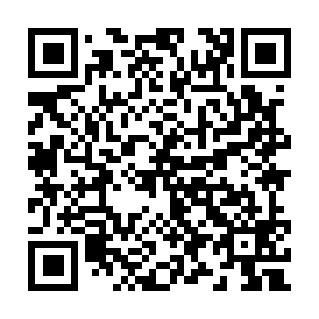 QR code for Z99199