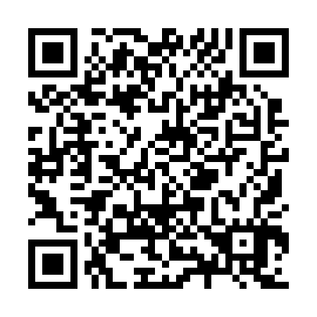 QR code for Z99207