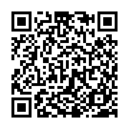 QR code for Z99227
