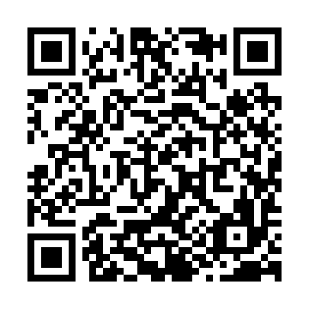 QR code for Z99296