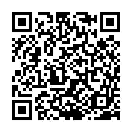 QR code for Z99553