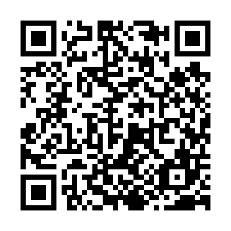 QR code for Z99606