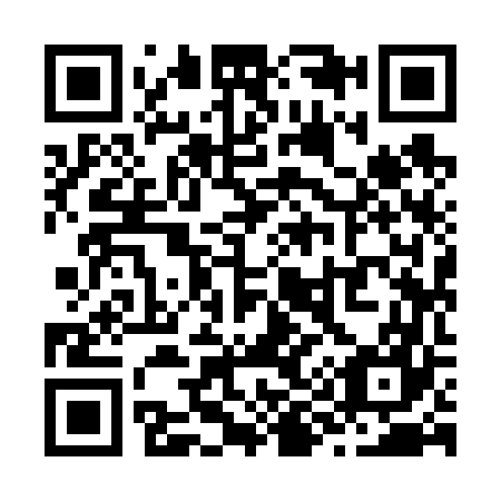 QR code for Z99667