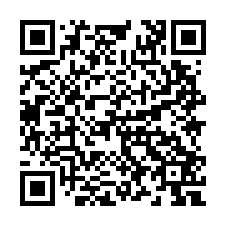QR code for Z99703