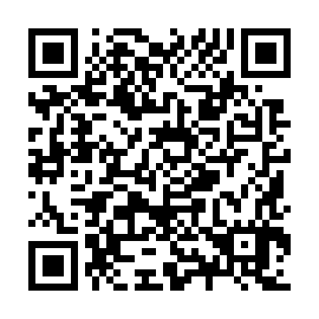 QR code for Z99787