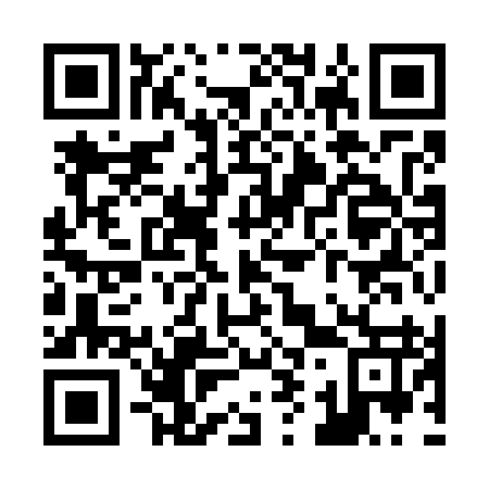 QR code for Z99797