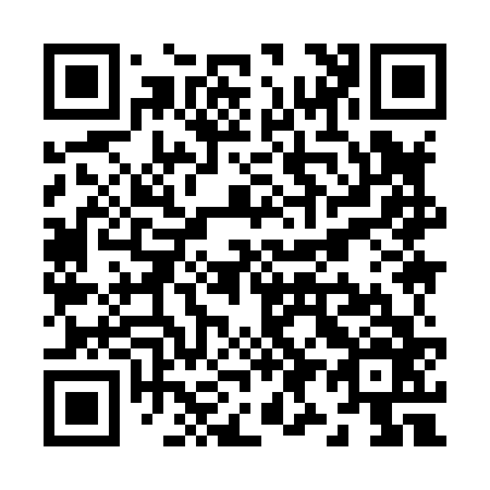 QR code for Z99866
