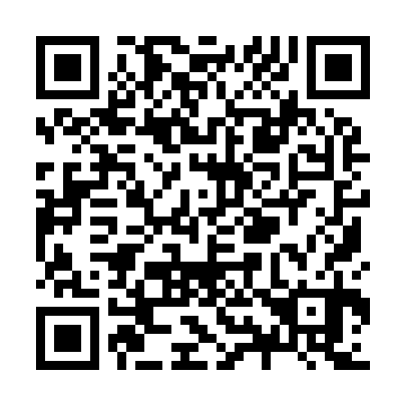 QR code for Z99930
