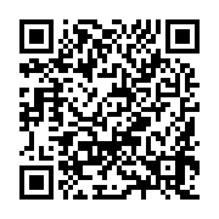 QR code for Z99998