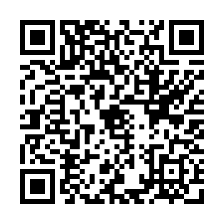 QR code for ZAY-6381