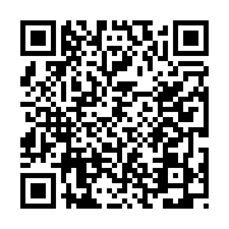 QR code for ZBL0699