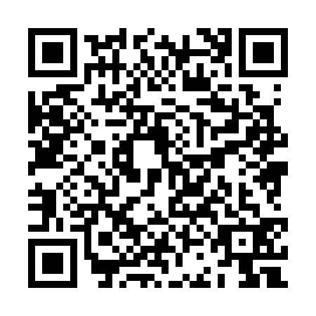 QR code for ZCH3329