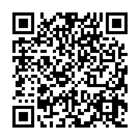 QR code for ZDC-1381