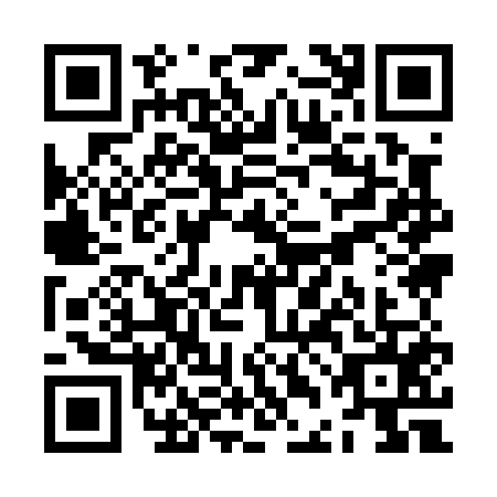 QR code for ZDI-0551