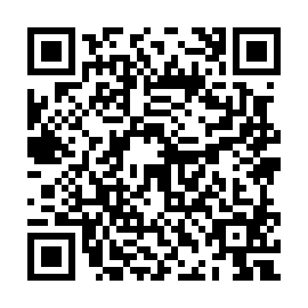 QR code for ZDI-0845