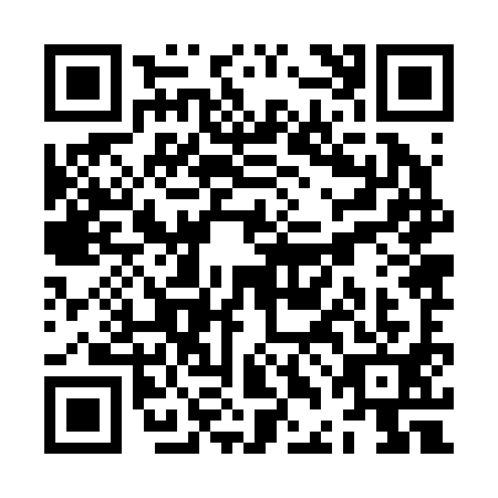 QR code for ZDJ-2917