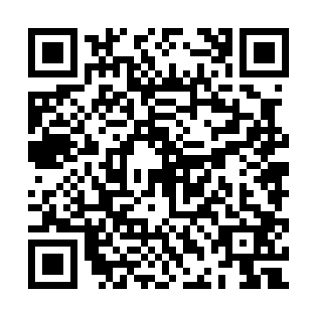 QR code for ZDN-0020
