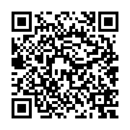 QR code for ZDN6291