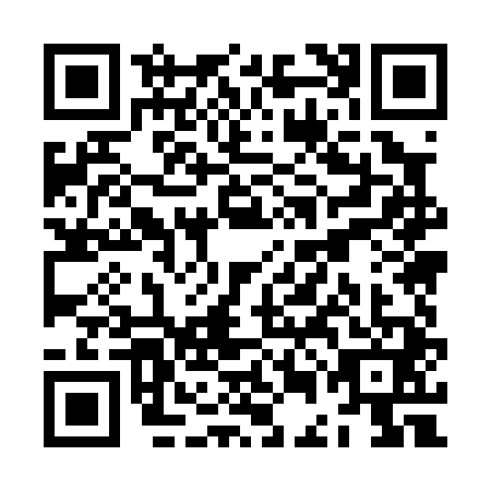 QR code for ZEM0413