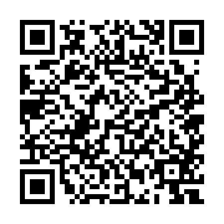 QR code for ZEW-3863