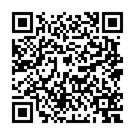 QR code for ZFI4165