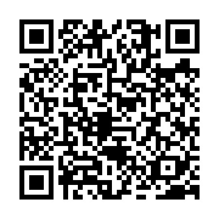 QR code for ZFY-6295