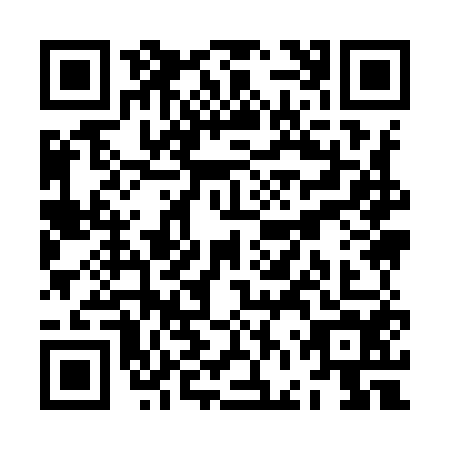 QR code for ZFY9541