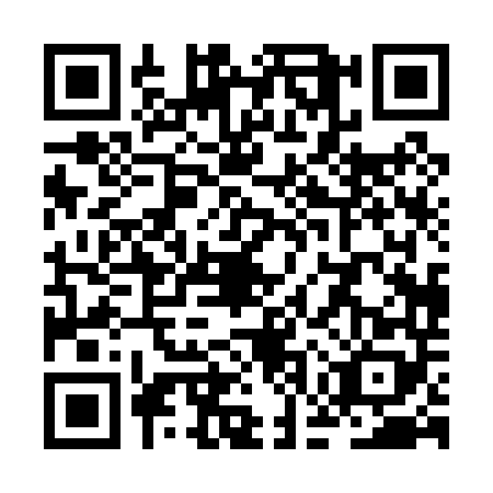 QR code for ZGP0489