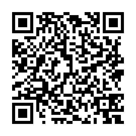 QR code for ZGY9383