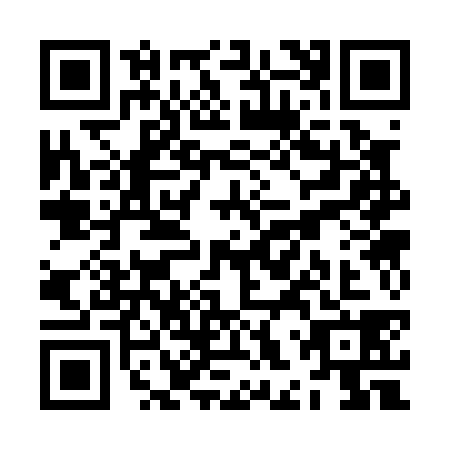 QR code for ZHS-0389