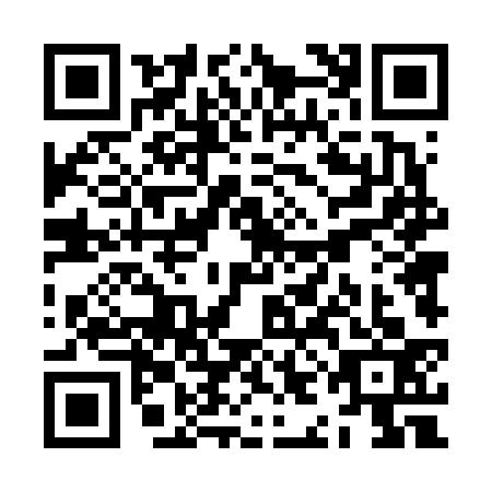 QR code for ZID-6335