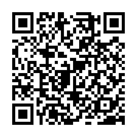 QR code for ZIG-5381