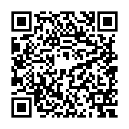 QR code for ZJP-9949