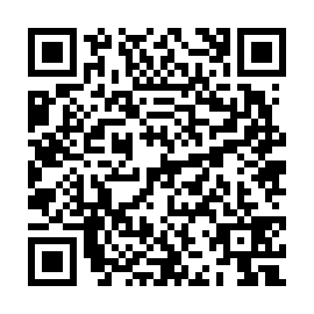 QR code for ZJZ-6397