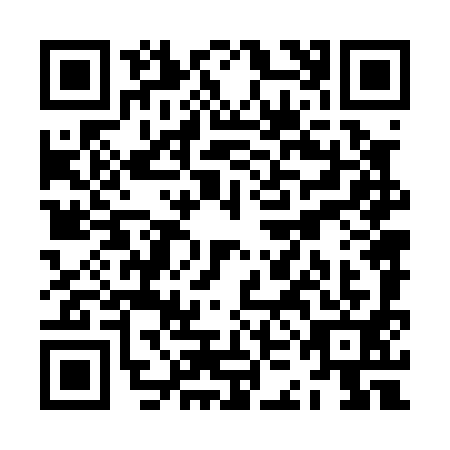 QR code for ZKN-0919