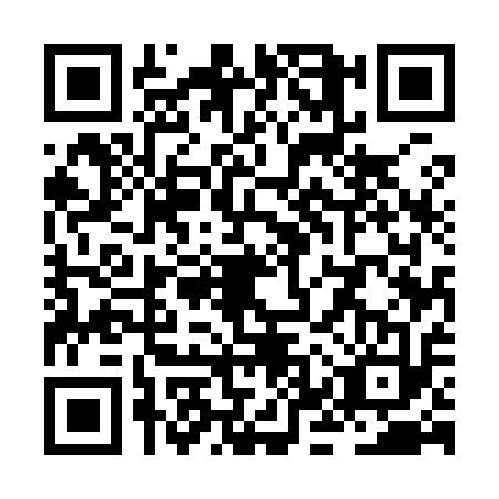QR code for ZKU9133