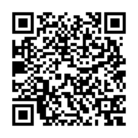 QR code for ZLC-6307
