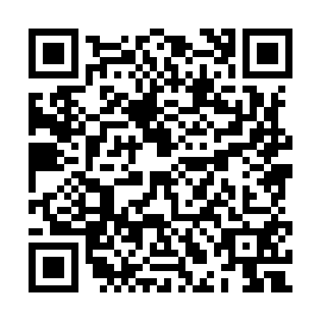 QR code for ZLH9507